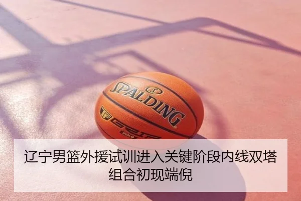辽宁男篮外援试训进入关键阶段内线双塔组合初现端倪